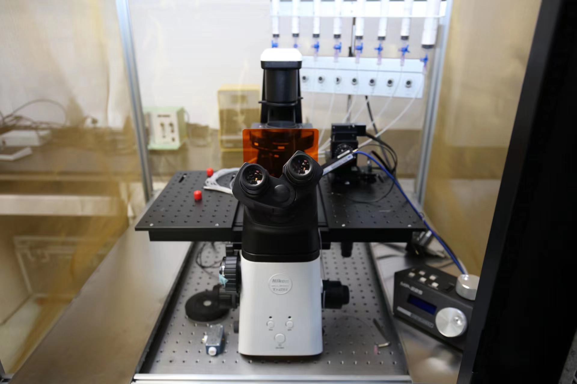 �z�y�O(sh��)��